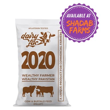 DairyLac 2020