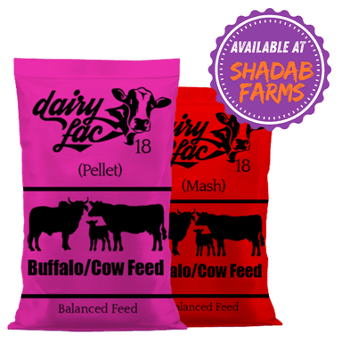 DairyLac 18 (Mash/Pellet)