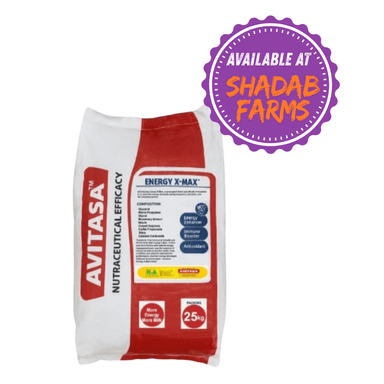 ENERGY X-MAX
