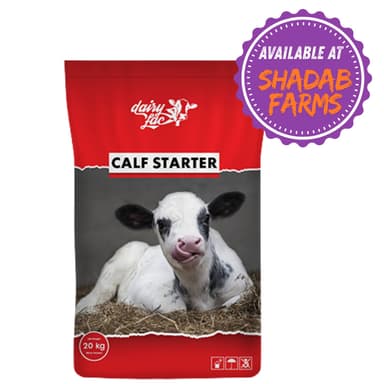DairyLac Calf Starter